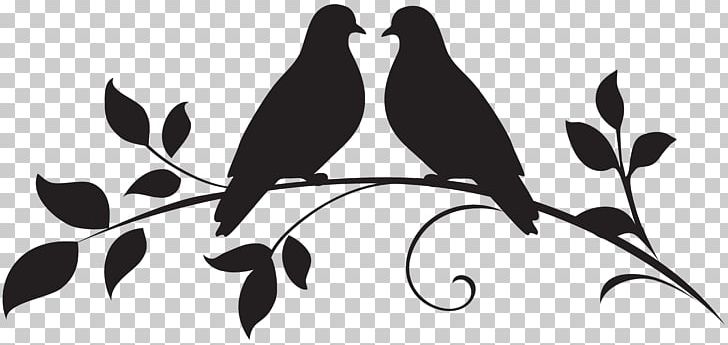 Bird Drawing Illustration PNG, Clipart, Art, Beak, Bird, Black And White, Branch Free PNG Download