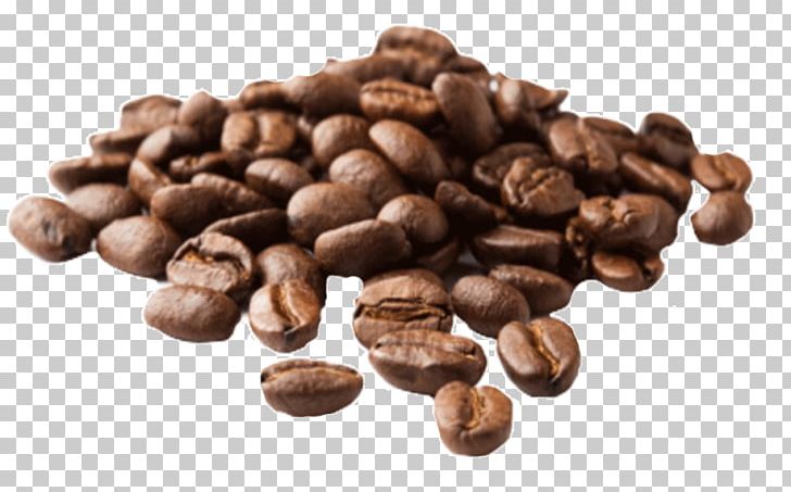Jamaican Blue Mountain Coffee Espresso Arabica Coffee Kona Coffee PNG, Clipart, Arabica Coffee, Banua Coffee Beans 250g Coffee, Bean, Caffeine, Chocolate Coated Peanut Free PNG Download