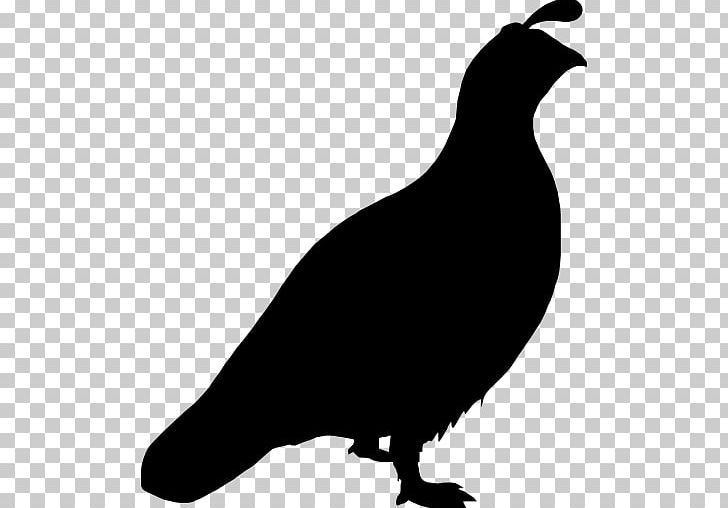 Quail Bird Columbidae Computer Icons PNG, Clipart, Animals, Beak, Bird, Black And White, California Quail Free PNG Download