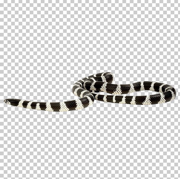 Snake Scaled Reptiles Python PNG, Clipart, Animal, Animals, Black And White, Cartoon Snake, Crawl Free PNG Download
