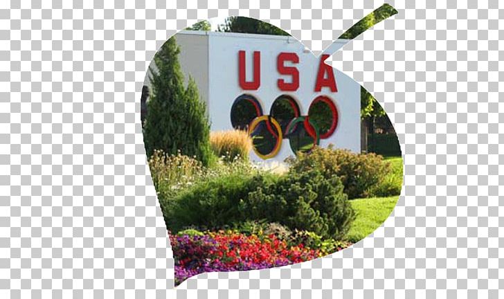 U.S. Olympic Training Center Olympic Games Olympic Plaza U.S. Olympic Committee Headquarters-Colorado Springs National Olympic Committee PNG, Clipart, Colorado, Grass, Leaf, National Olympic Committee, Olympic Games Free PNG Download