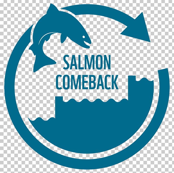 Atlantic Salmon Basel Rhine Ecology PNG, Clipart, Area, Artwork, Atlantic Salmon, Basel, Brand Free PNG Download