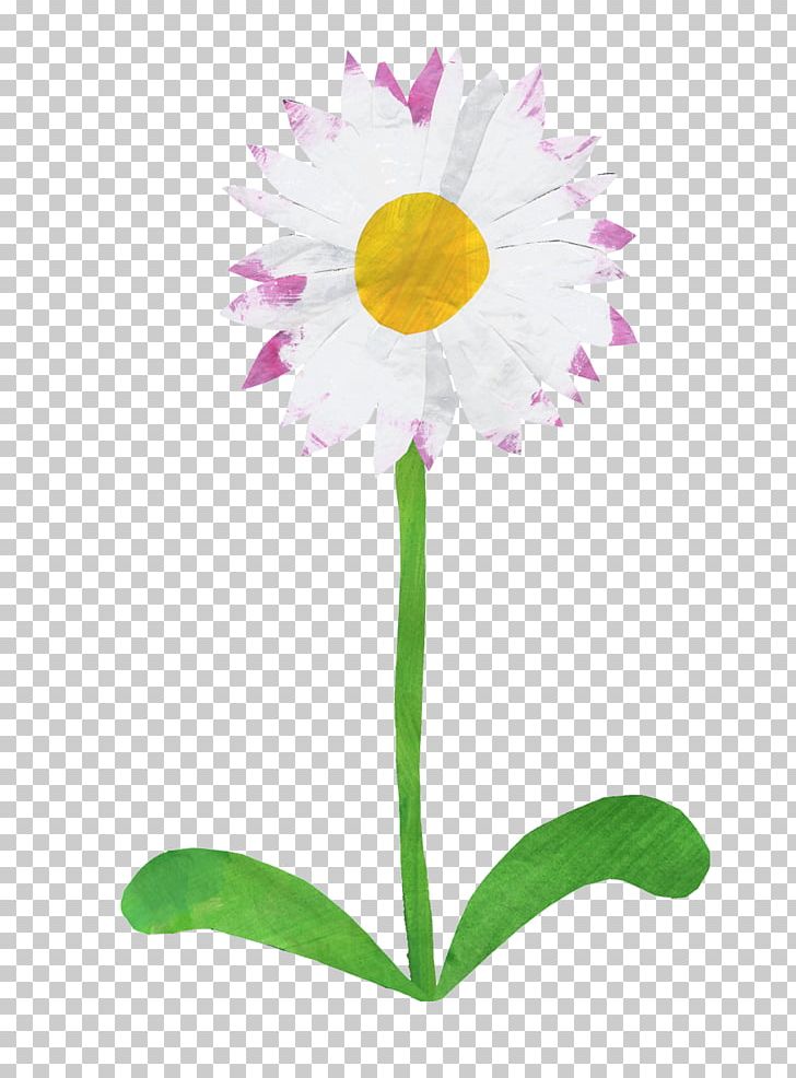 Birth Flower Common Daisy Sweet Pea Gift PNG, Clipart, April, Birth, Birthday, Birth Flower, Common Daisy Free PNG Download
