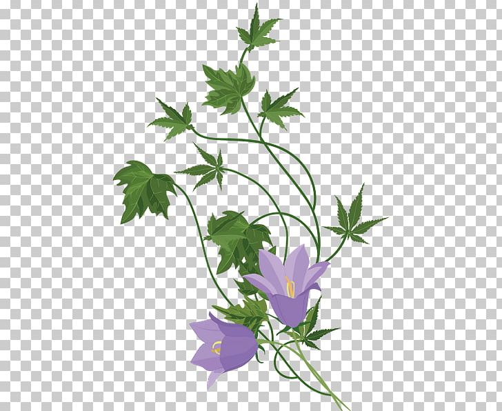 Flowerpot PNG, Clipart, Branch, Collection, Flora, Flower, Flowering Plant Free PNG Download