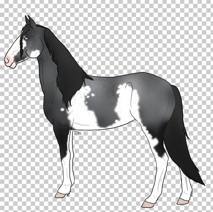 Mustang Stallion Foal Colt Mare PNG, Clipart, Black And White, Bridle, Colt, Foal, Halter Free PNG Download