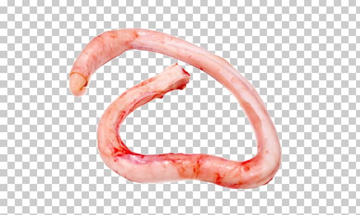 Worm Animal Source Foods Close-up Mouth PNG, Clipart, Animal Source Foods, Cardboard, Cardboard Box, Closeup, Consumption Free PNG Download