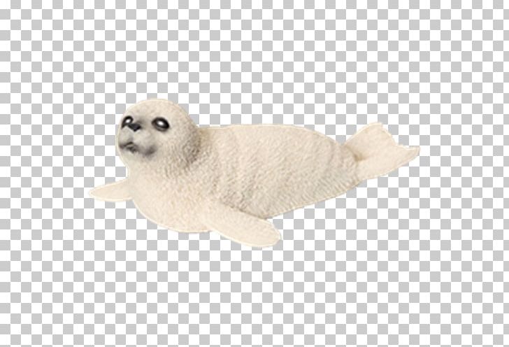 Earless Seal Schleich Gr Toy 動物フィギュア PNG, Clipart, Action Toy Figures, Animal Figure, Bart Smit, Dog Like Mammal, Earless Seal Free PNG Download