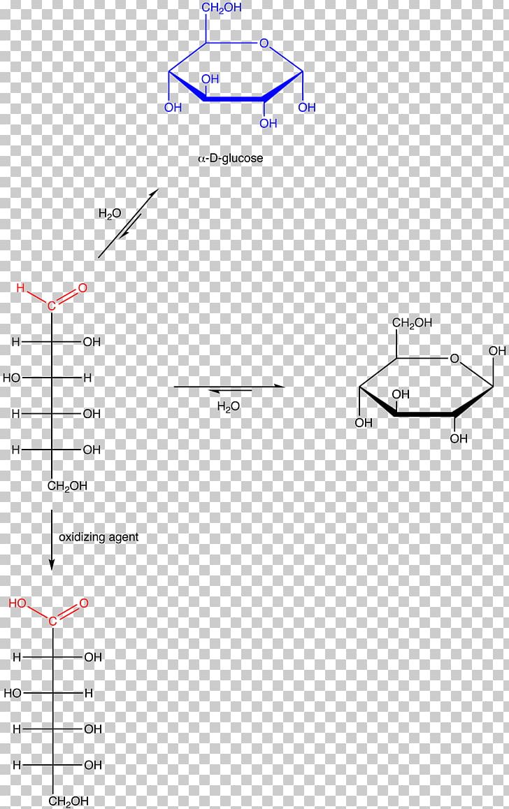 Fructose Reducing Sugar Hemiacetal Aldehyde Erythrulose PNG, Clipart,  Free PNG Download