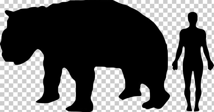 Wombat Diprotodon Koala Rhinoceros Marsupial PNG, Clipart, Animal, Animals, Bear, Black, Black And White Free PNG Download
