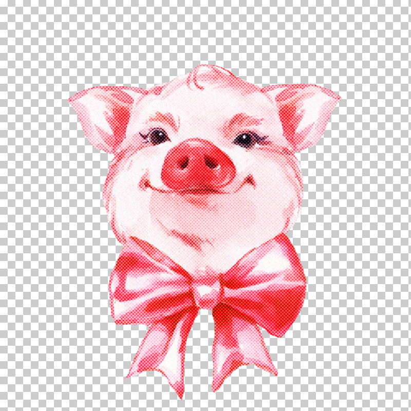 Pink Suidae Snout Livestock Smile PNG, Clipart, Livestock, Pink, Smile, Snout, Suidae Free PNG Download