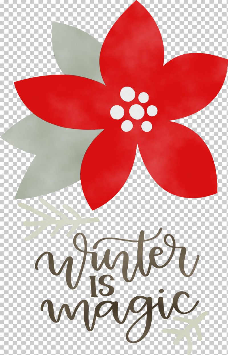 Floral Design PNG, Clipart, Biology, Cut Flowers, Floral Design, Flower, Hello Winter Free PNG Download