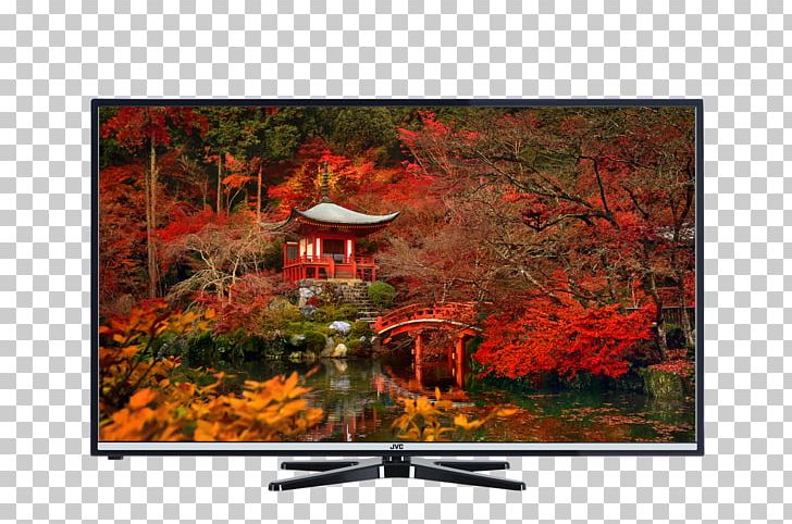 Daigo-ji JVC H30 Series Display Resolution High-definition Television Desktop PNG, Clipart, Autumn, Computer, Computer Monitors, Daigoji, Desktop Wallpaper Free PNG Download