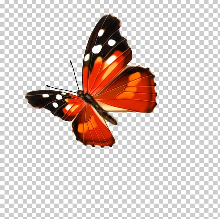 Butterfly PNG, Clipart, Adobe Illustrator, Arthropod, Blue Butterfly, Brush Footed Butterfly, Butterflies Free PNG Download
