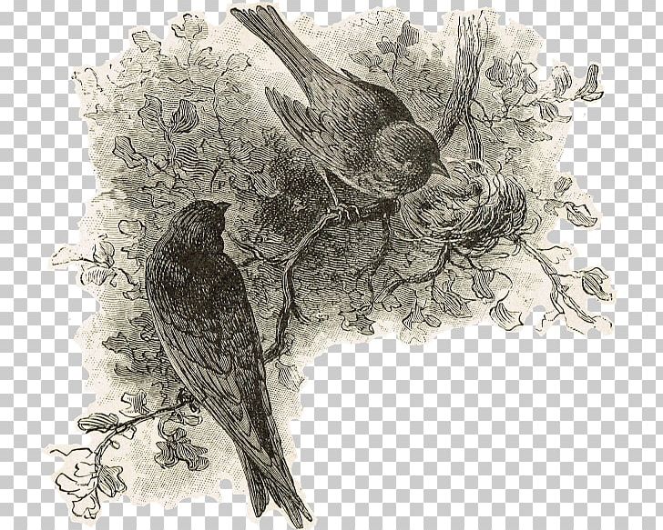 Drawing Bird Sheet Music Art PNG, Clipart,  Free PNG Download