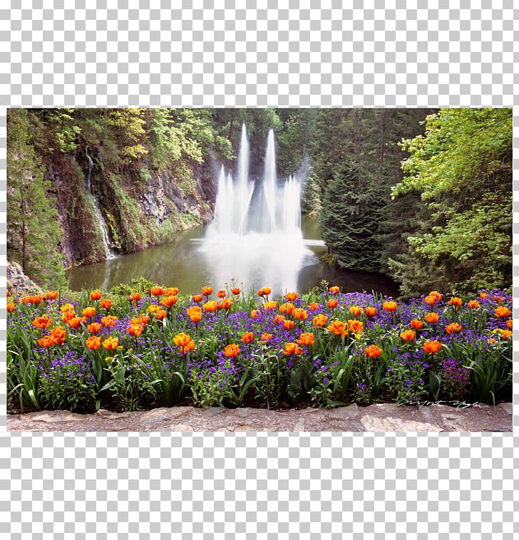 Botanical Garden Water Resources Waterfall Lawn PNG, Clipart, Botanical Garden, Botany, Flora, Flower, Fountain Free PNG Download