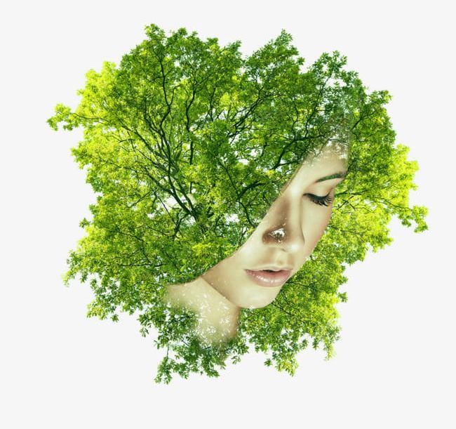 By Trees Covered Half Of His Face Female Head PNG, Clipart, Avatar, Beauty, By Clipart, Closed, Combination Free PNG Download