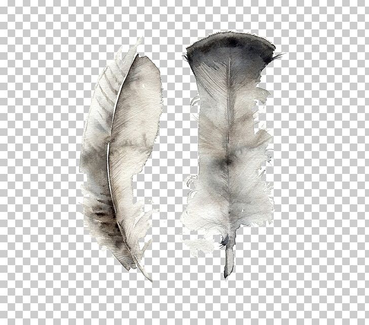Feather Watercolor Painting Art Canvas PNG, Clipart, Animals, Art, Artist, Canvas, Canvas Print Free PNG Download