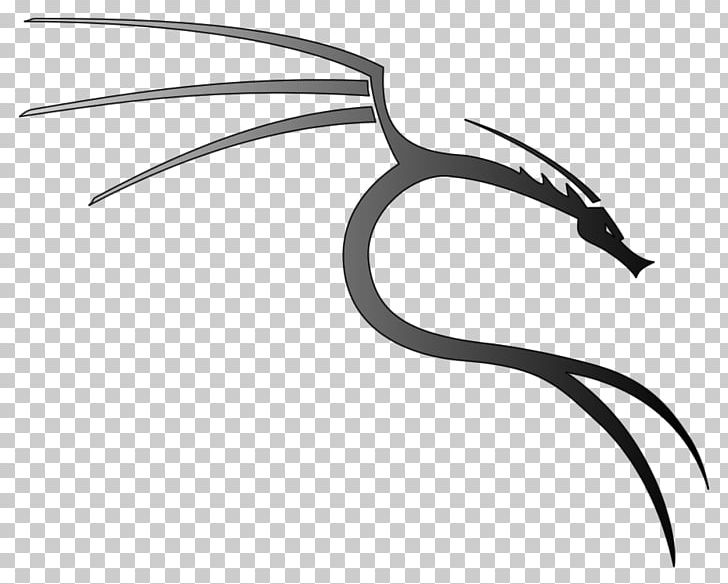 Kali Linux BackTrack Penetration Test Offensive Security Certified Professional PNG, Clipart, Beak, Bird, Black And White, Branch, Computer Security Free PNG Download