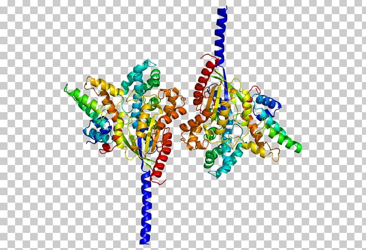 RGS4 G Alpha Subunit Regulator Of G Protein Signaling Heterotrimeric G Protein PNG, Clipart, Agr, Art, Bead, Body Jewelry, Gene Free PNG Download