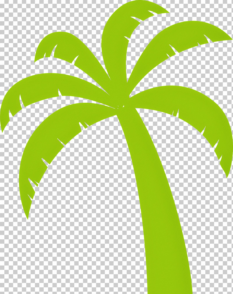 Palm Trees PNG, Clipart, Areca Palm, Beach, Branch, Cartoon Tree, Dypsis Free PNG Download