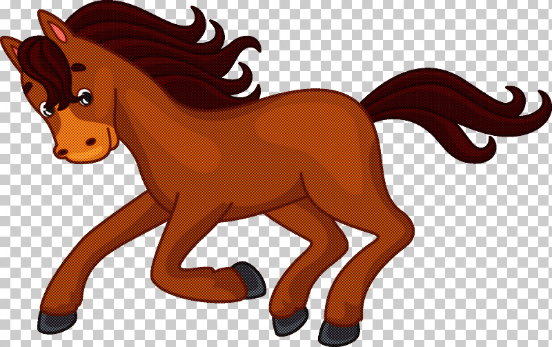 Pony Foal Mustang Stallion Cat PNG, Clipart, Cat, Foal, Halter, Horse, Horse Management Free PNG Download