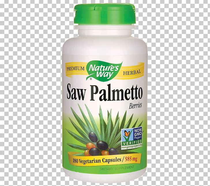Dietary Supplement Saw Palmetto Extract Vegetarian Cuisine Capsule PNG, Clipart, Berry, Capsule, Dietary Supplement, Excretory System, Grass Free PNG Download