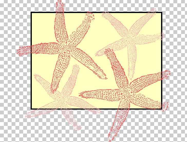 Drawing PNG, Clipart, Can Stock Photo, Drawing, Echinoderm, Invertebrate, Line Free PNG Download