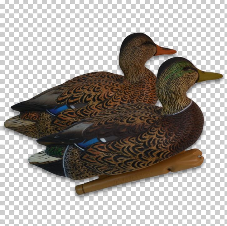 Mallard Duck Decoy Waterfowl Hunting PNG, Clipart, Animals, Avian, Beak, Bird, Decoy Free PNG Download