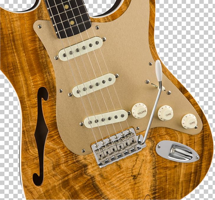 Bass Guitar Electric Guitar Acoustic Guitar Guitar Amplifier Fender Stratocaster PNG, Clipart, Acoustic Electric Guitar, Acoustic Guitar, Cutaway, Fender Telecaster, Fender Telecaster Thinline Free PNG Download