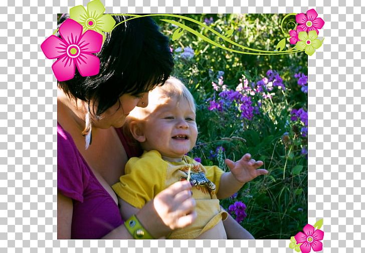 Floral Design Rose Family Toddler PNG, Clipart, Annual Plant, Child, Daughter, Flora, Floral Design Free PNG Download