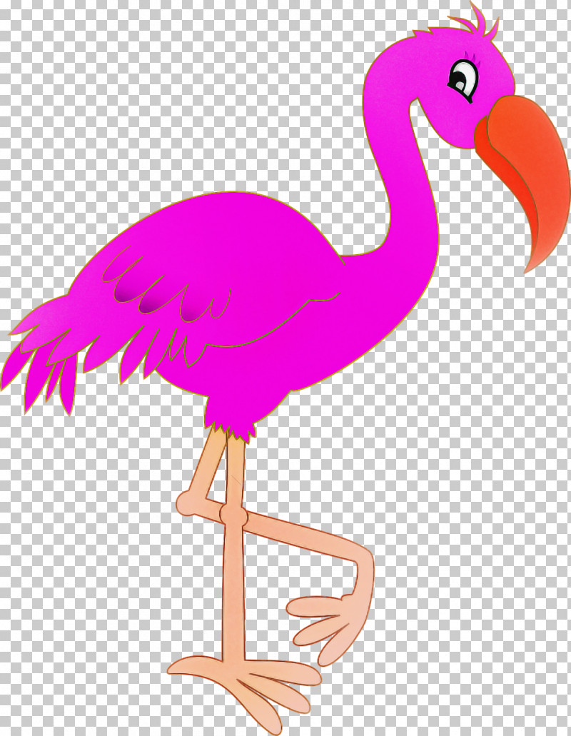 Flamingo PNG, Clipart, Beak, Bird, Flamingo, Flightless Bird, Greater Flamingo Free PNG Download