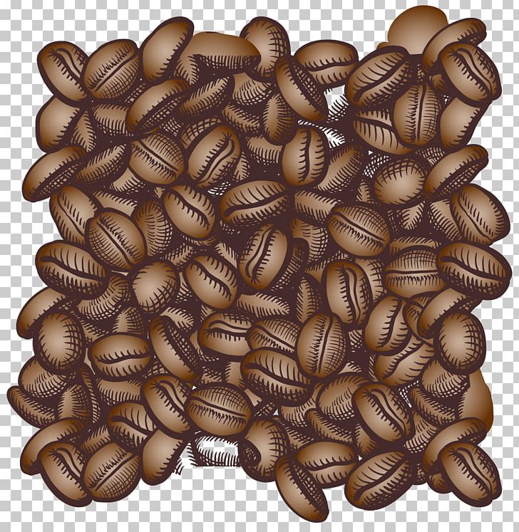 Coffee Bean Espresso Cappuccino Cafe PNG, Clipart, Arabica Coffee, Background Vector, Bean, Beans, Beans Vector Free PNG Download