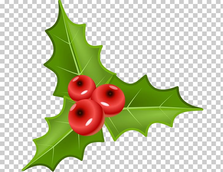 Common Holly T-shirt PNG, Clipart, Aquifoliaceae, Aquifoliales, Christmas, Common Holly, Computer Icons Free PNG Download