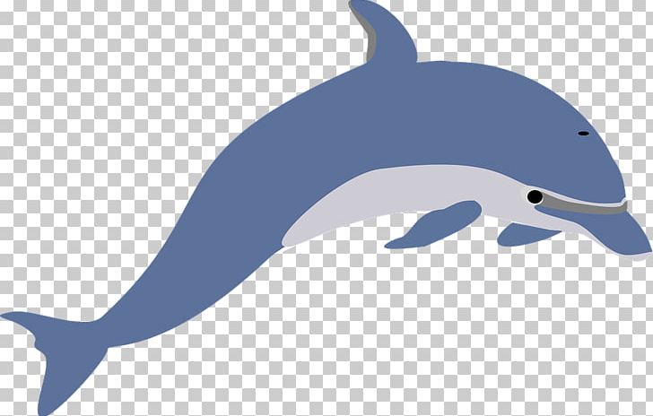 Dolphin Computer Icons PNG, Clipart, Animals, Baby Fish, Beak, Bottlenose Dolphin, Common Bottlenose Dolphin Free PNG Download