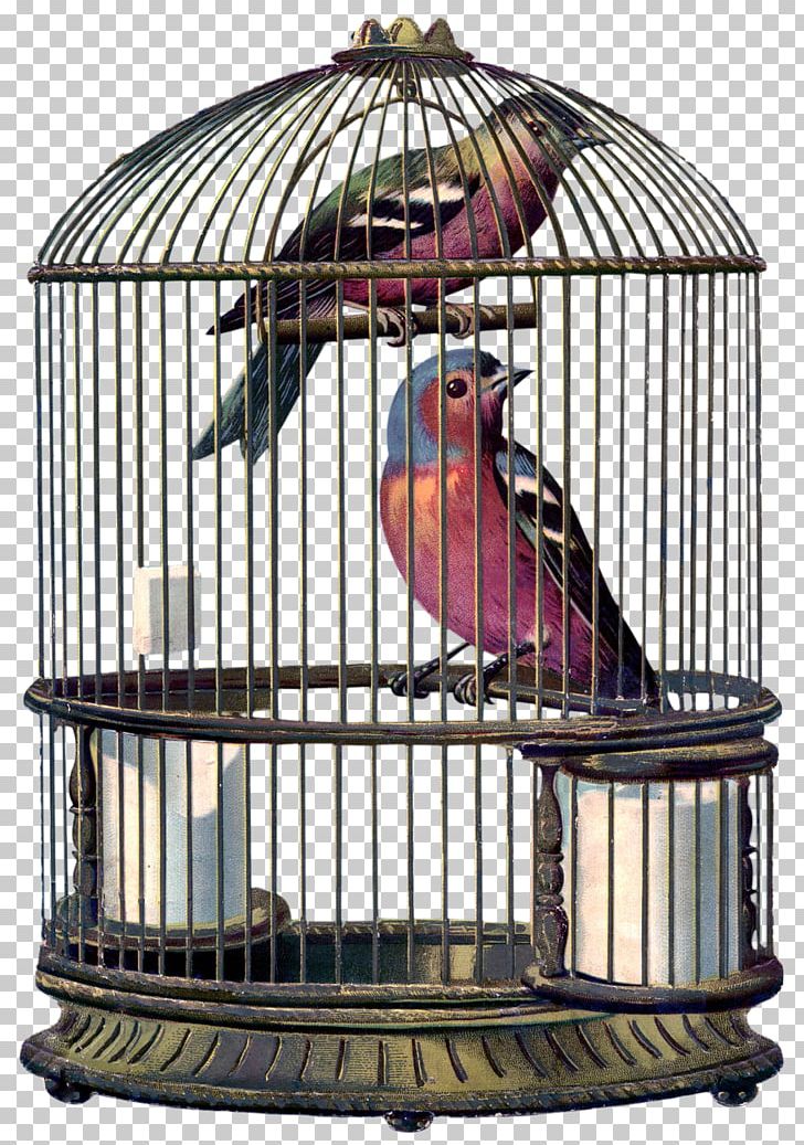 birdcage png