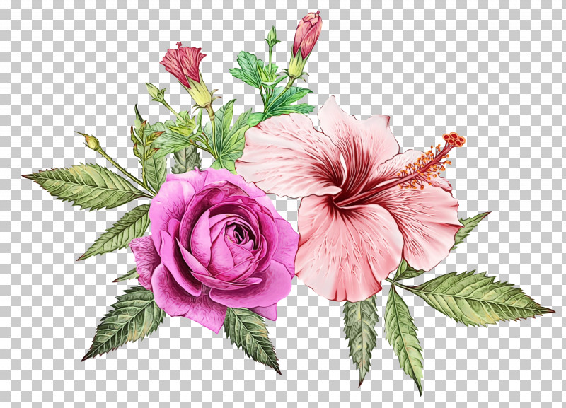 Floral Design PNG, Clipart, Cabbage Rose, Cut Flowers, Family, Floral Design, Flower Free PNG Download