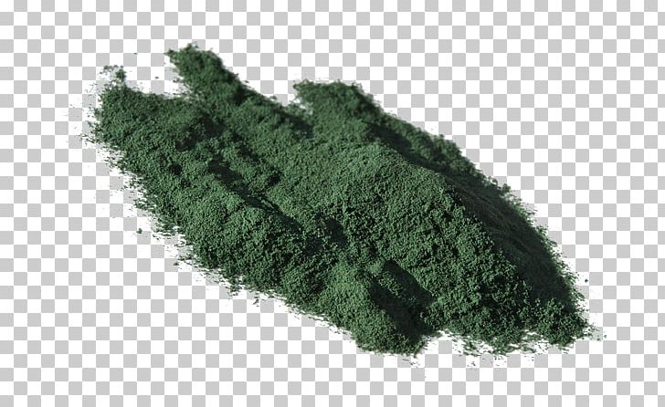 Spirulina Dietary Supplement Blue-green Bacteria Arthrospira Platensis Food PNG, Clipart, Arthrospira Platensis, Bluegreen Bacteria, Chlorella, Detoxification, Dietary Fiber Free PNG Download