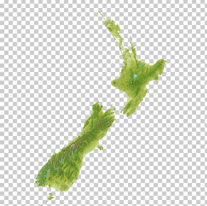 Auckland Kaikoura Orokonui Ecosanctuary Wellington Lake Rotopiko PNG, Clipart, Cartogram, Chinese New Year, Country, Grass, Green Free PNG Download