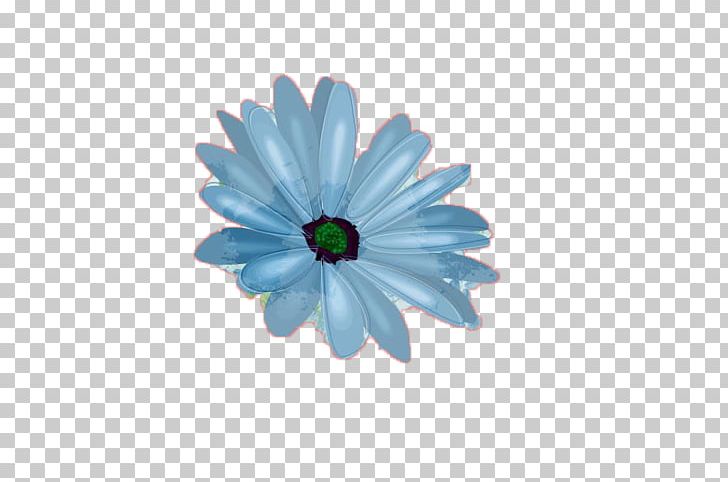 Flower Photography Drawing PNG, Clipart, Blue, Chrysanths, Color, Common Daisy, Daisy Free PNG Download