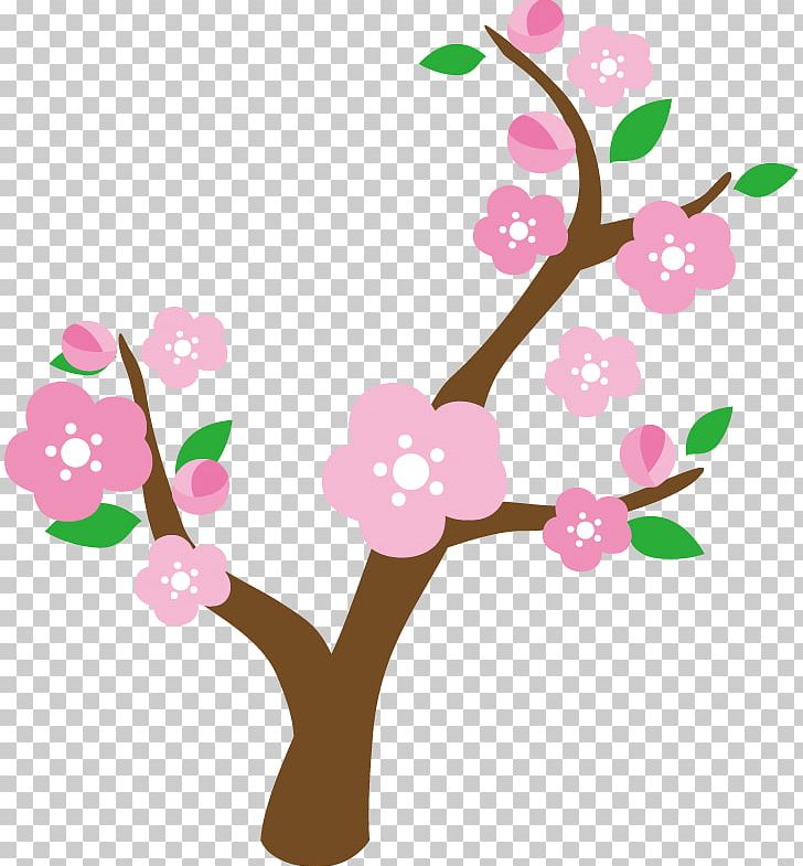 Plum Tree. PNG, Clipart, Advertising, Blossom, Branch, Cherry Blossom, Flora Free PNG Download