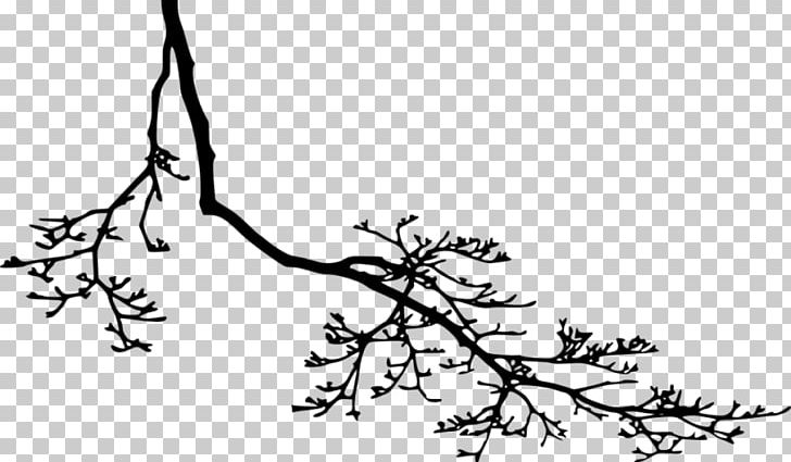 Twig Branch Black And White PNG, Clipart, Animals, Area, Art, Artwork, Black Free PNG Download