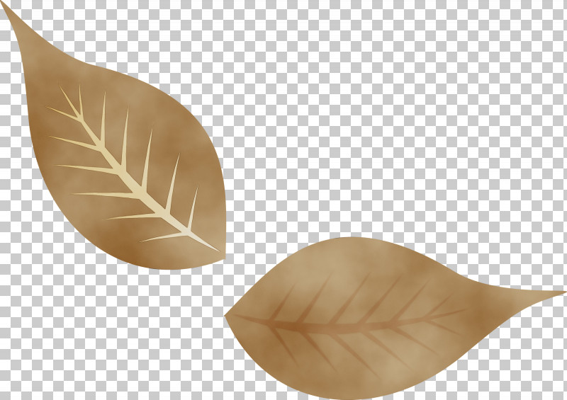 Tableware PNG, Clipart, Autumn Leaf, Fall Leaf, Paint, Tableware, Watercolor Free PNG Download