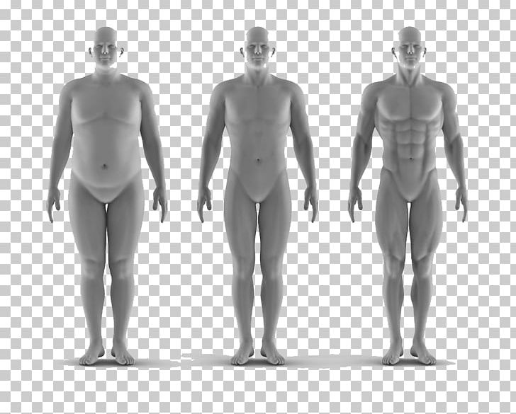 Anthropometry Stock Photography Portrait PNG, Clipart, Abdomen, Angry Man, Arm, Art, Black And White Free PNG Download
