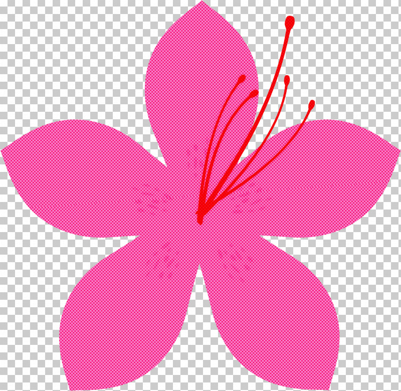 Azalea Spring Flower Azalea Flower PNG, Clipart, Azalea, Azalea Flower, Flower, Hibiscus, Magenta Free PNG Download