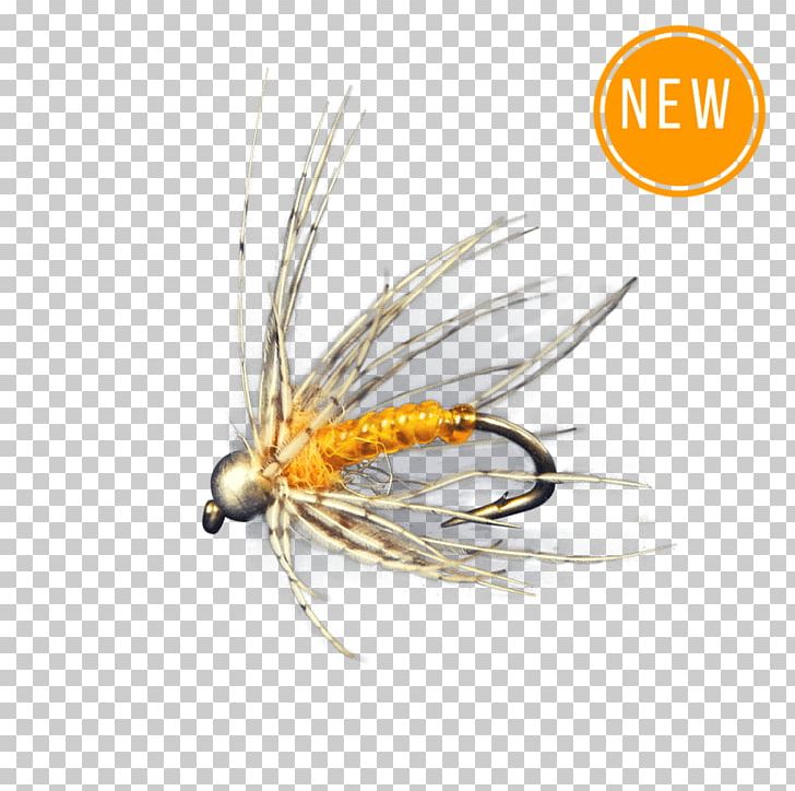 Artificial Fly Hackles Fly Fishing Nymph PNG, Clipart, Arthropod, Artificial Fly, Dry Flies And Emergers, Fishing, Fly Free PNG Download