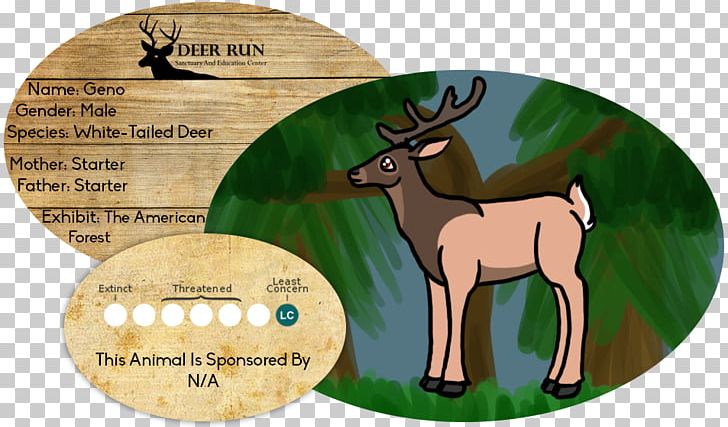 Reindeer Horse Antler Mammal Wildlife PNG, Clipart, Animated Cartoon, Antler, Deer, Fauna, Grass Free PNG Download