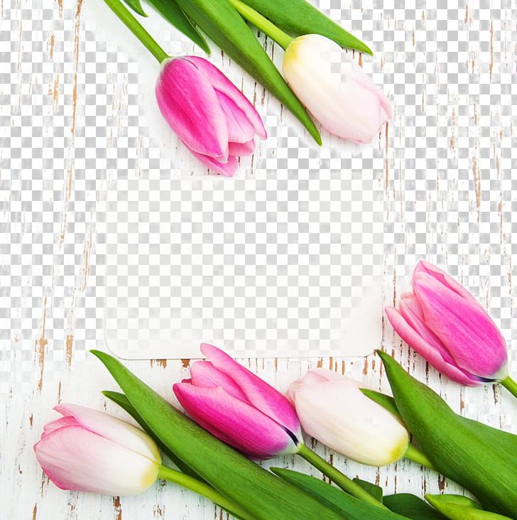 Tulip Flower Poster Photography PNG, Clipart, Artificial Flower, Beautiful Tulips And A Card, Beauty Salon, Birthday Card, Business Card Free PNG Download