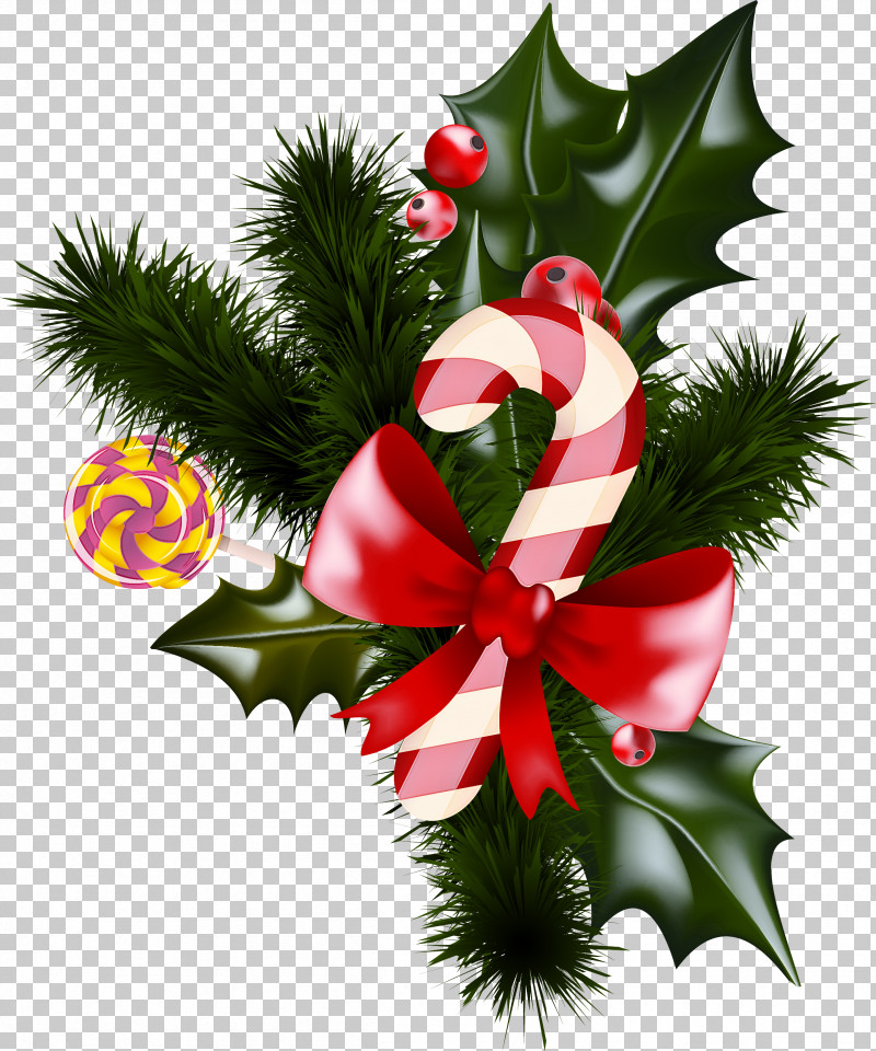 Christmas Decoration PNG, Clipart, Anthurium, Branch, Christmas, Christmas Decoration, Christmas Eve Free PNG Download