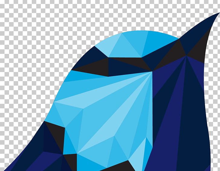 Blue Wren Custom Software PNG, Clipart, Angle, Art, Azure, Bespoke, Blue Free PNG Download