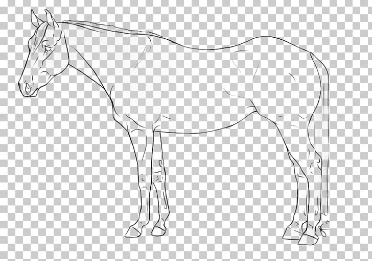 Mustang Foal Colt Stallion Bridle PNG, Clipart,  Free PNG Download